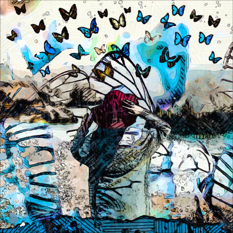 Butterfly Magic Collage
